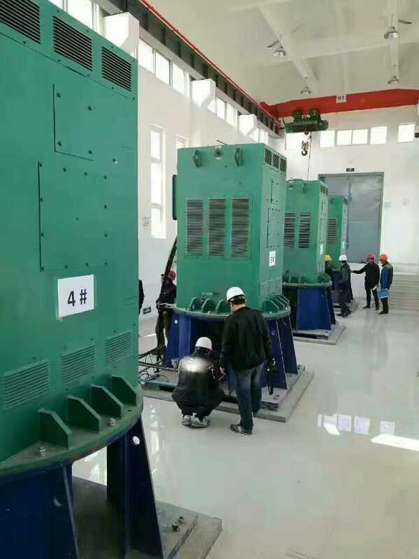 中江某污水处理厂使用我厂的立式高压电机安装现场