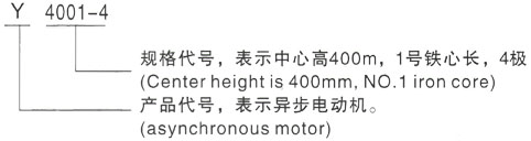 西安泰富西玛Y系列(H355-1000)高压中江三相异步电机型号说明